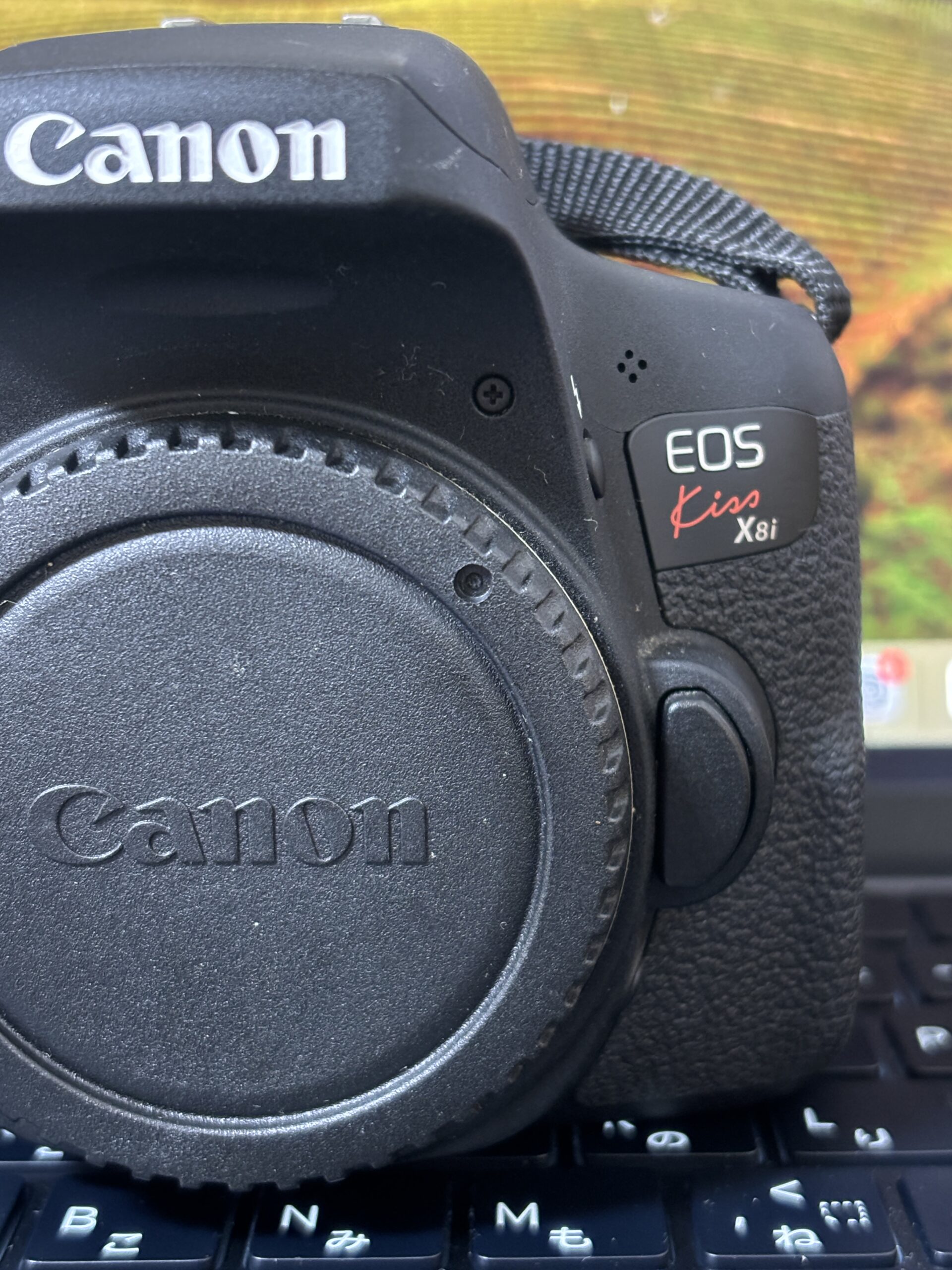 Canon EOS Kiss X8i レビュー｜初心者から上級者まで満足できる高性能エントリー機 | こうのブログ～自由に生きる！～Let's  live freely！